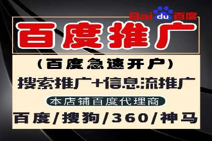 SEM公司案例解析：搜索引擎营销策略与执行